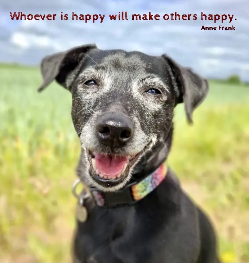 GratitudeSoup (@gratitudesoup) on Twitter photo 