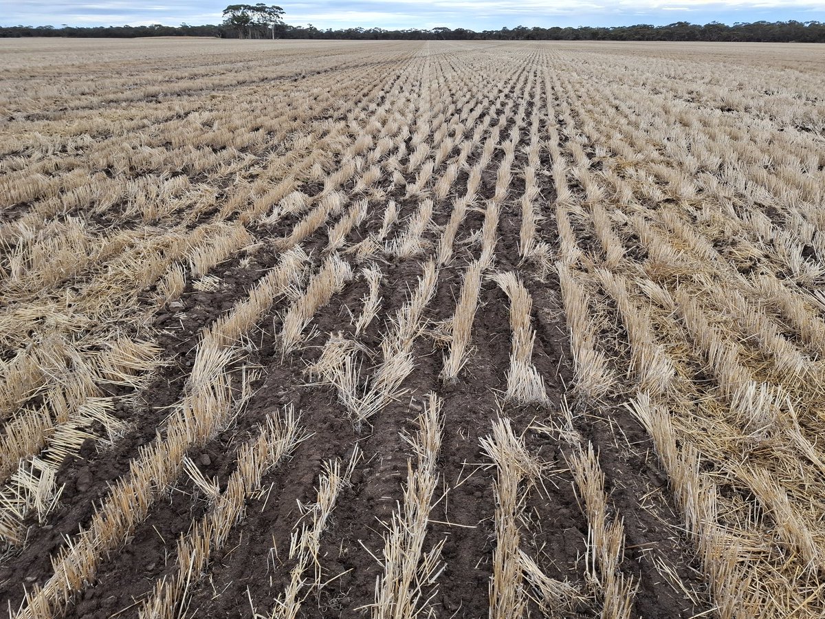 Where do I hand in my CTF card?