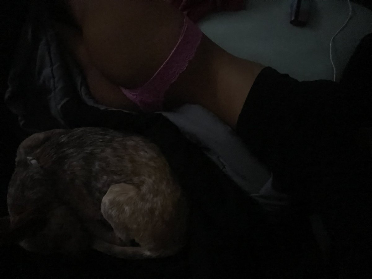 pickynprissy's tweet photo. me n my baby ! https://t.co/I0fTO0Nyp3