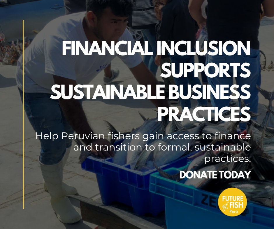 #SustainableFisheries begin with empowered communities. Our Artisanal Fisher Development Fund in #Peru helps fishers transition to sustainable practices. Together, we can build a future where people and the planet thrive.

futureoffish.org/donate

#FinancialInclusion #Donate