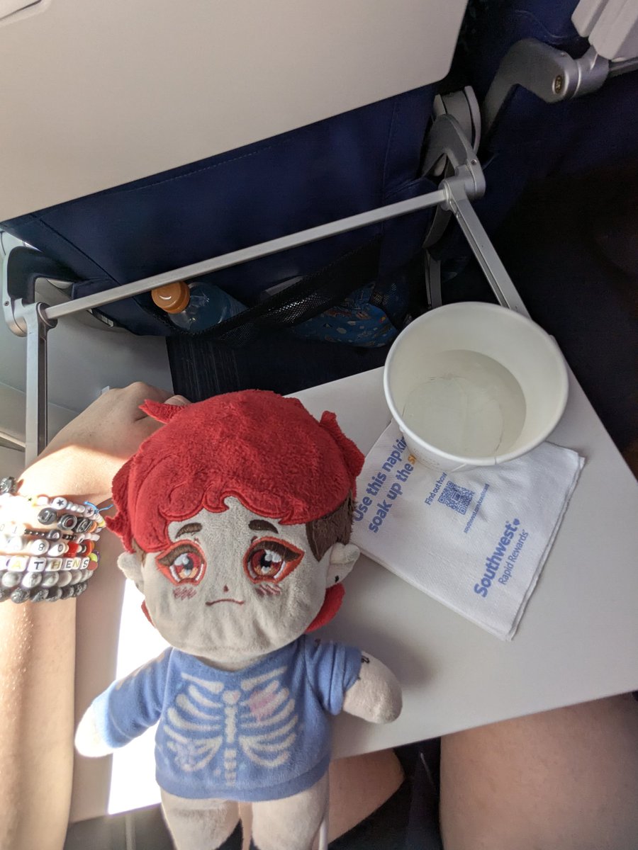 spooksdun's tweet image. Someone's reading the safety instructions for once!! Another great flight on @SouthwestAir 
 #wannagetawaywednesday  #swalivery #swapic  #aviationgeeks #aviationspotting #avgeekspotting
#aviationspotter #aviationgeeks #aviation
#avgeek #aviationgeek #southwestairlines