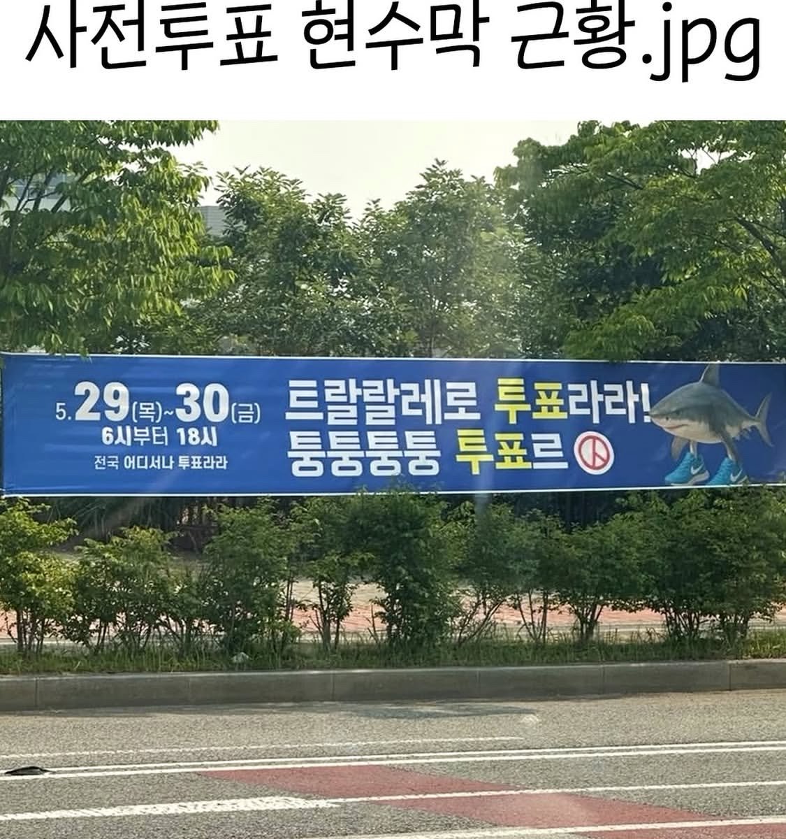 뭉게구름 (@ssonagii) on Twitter photo 