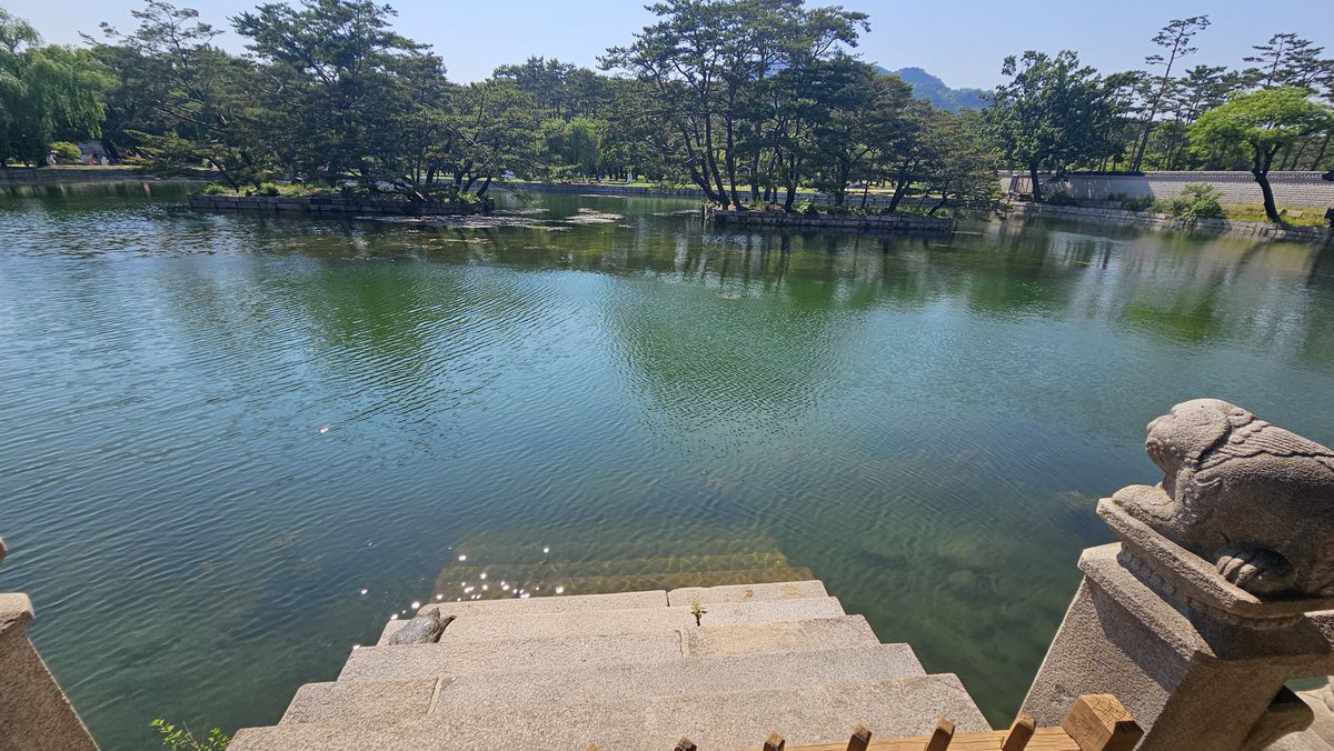 <경복궁 경회루에 자라가 나타나던 날>

햇살 가득 푸른 하늘 아래
햇볕을 만끽하는
경복궁 경회루 자라💚

#경복궁 #국보 #경회루 #자라