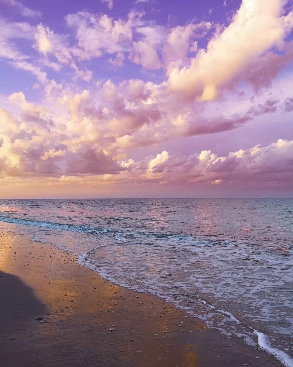 aestheticspost_'s tweet image. 