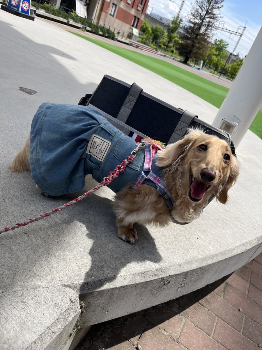 暴れ老婆 tweet media