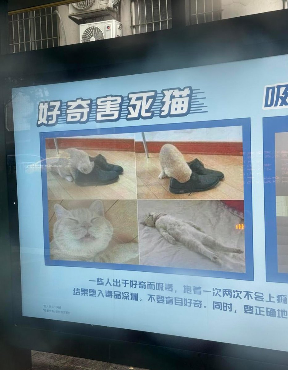 hsn (@hsn8086) on Twitter photo 