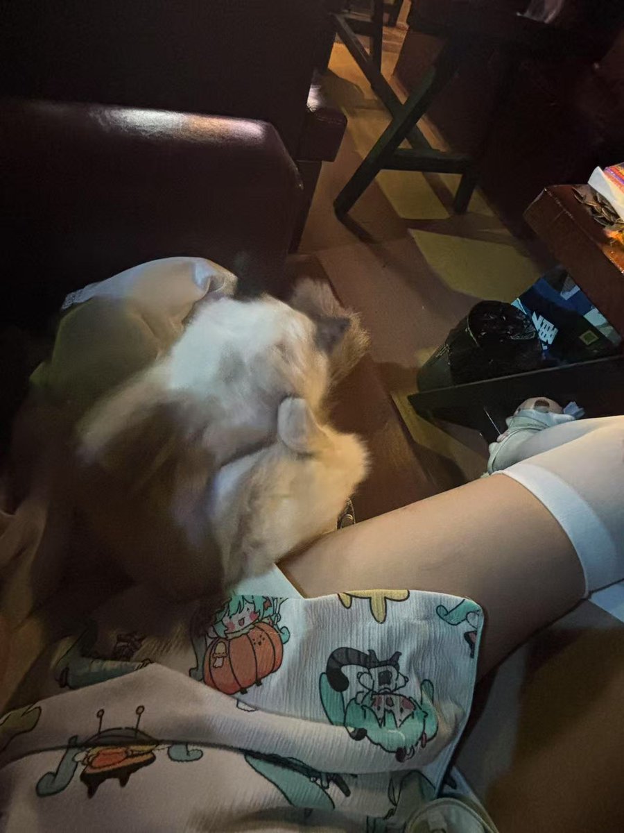 0627wink's tweet photo. 我在你们离得最近的饭店里面准备了饭菜，你们去付钱就有的吃了 https://t.co/CSFpjr93uc
