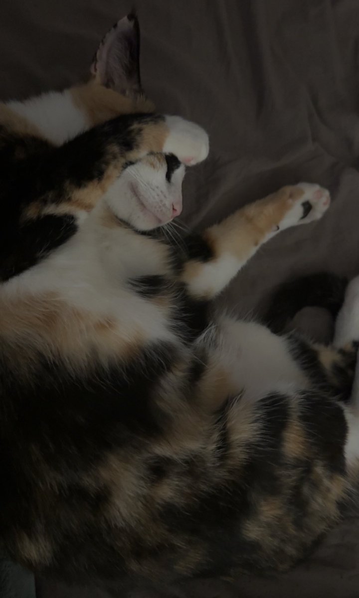 she’s dabbing