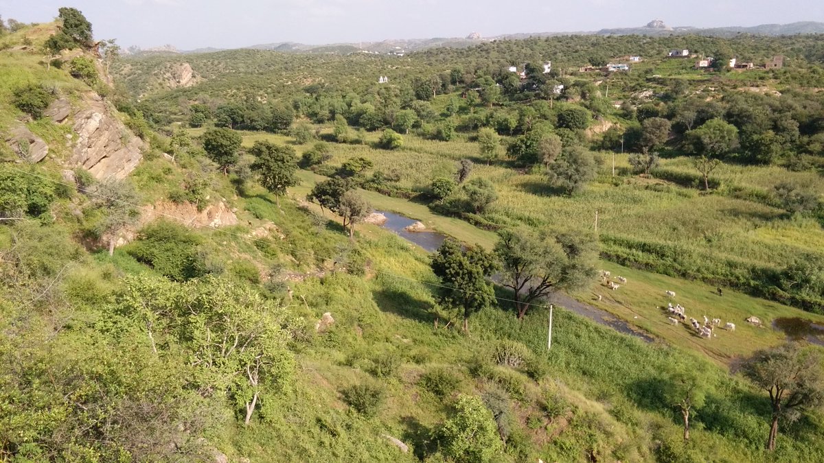 #ब्यावर :  उपखंड रायपुर में भोमादा बांध के लिए भूमि आवंटित। <a href="/Dmajmer/">District Collector & Magistrate, Ajmer</a>  <a href="/Neelimadadhich/">Neelima Dadhich(Air)</a>