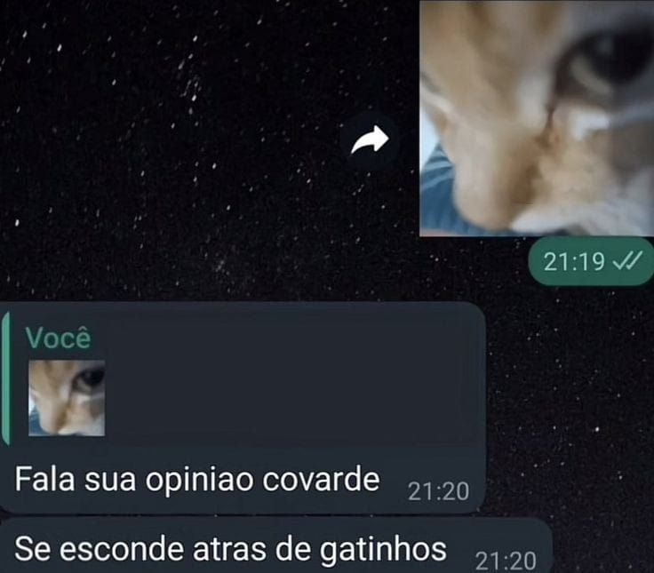 posts que eu me indentifico (@engualeukkk) on Twitter photo 