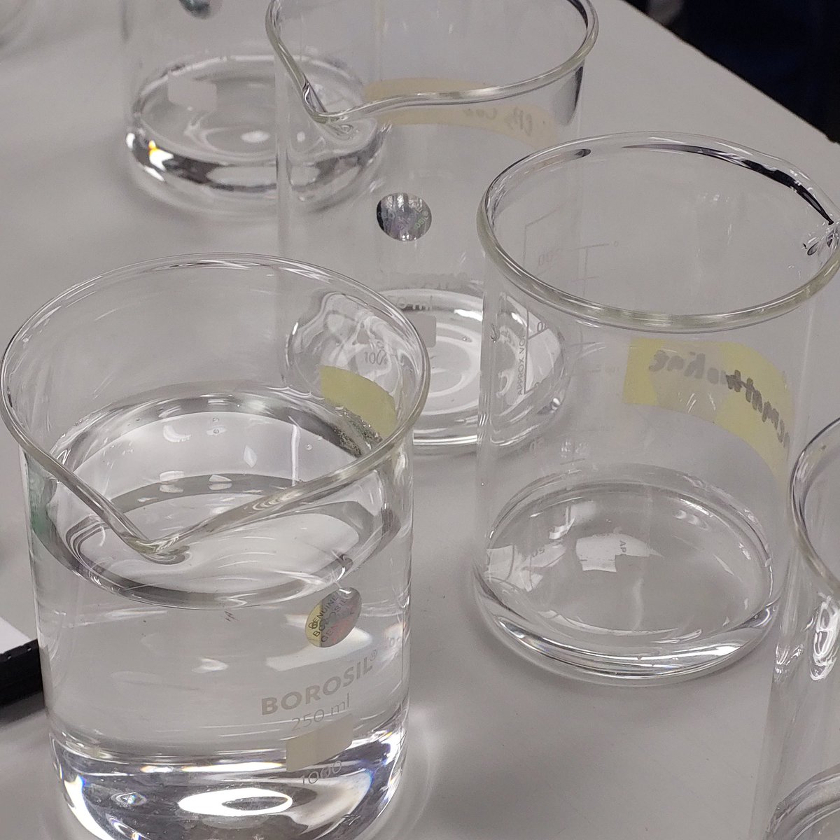 nginitian's tweet image. 👩🏽‍🔬 ㅡ hi i'm iara, nice 2 meet you ! 
  ✶  21, eng/fil, isfj
  ✶  tired 4th yr chem student
  ✶  thesis era ⚗️🧪
  ✶  i like hsr, loona, &amp;amp; food pics

↺/♡ to be mutuals :P 
#studytwt #studytwtph