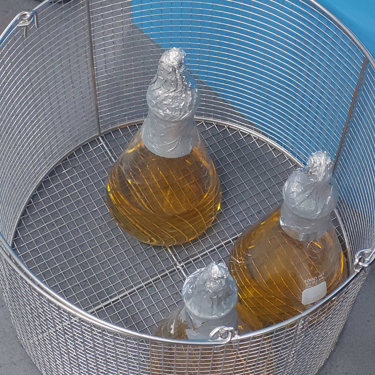 nginitian's tweet image. 👩🏽‍🔬 ㅡ hi i'm iara, nice 2 meet you ! 
  ✶  21, eng/fil, isfj
  ✶  tired 4th yr chem student
  ✶  thesis era ⚗️🧪
  ✶  i like hsr, loona, &amp;amp; food pics

↺/♡ to be mutuals :P 
#studytwt #studytwtph