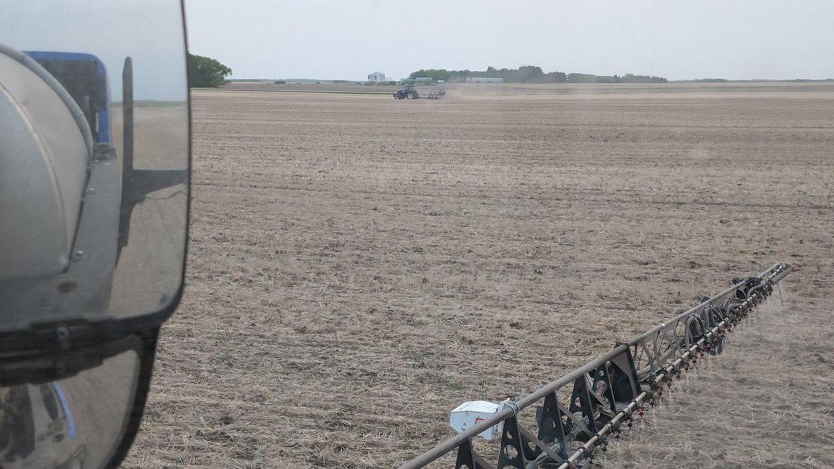 Light at the end of the tunnel. Under 400 acres of Pinto's left to plant.