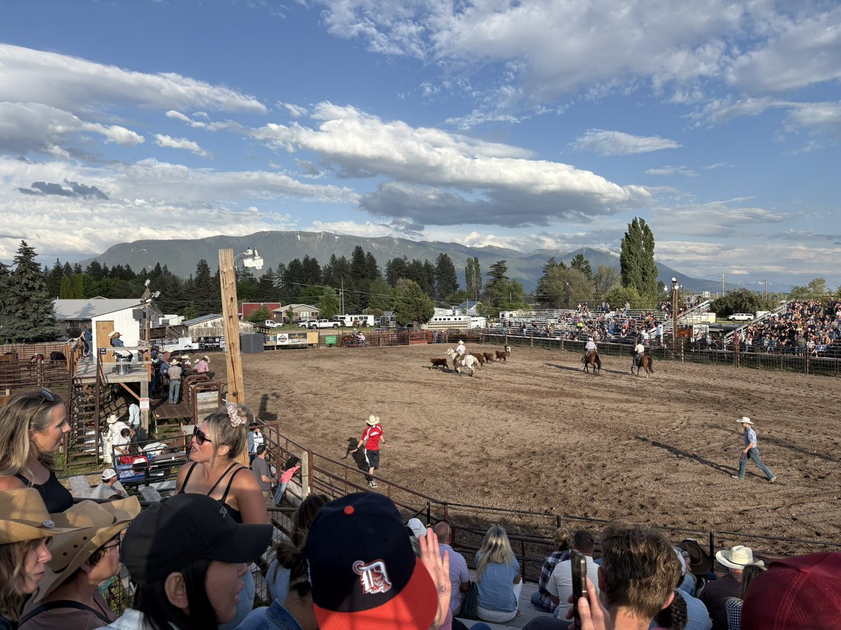 Cowboy Up!