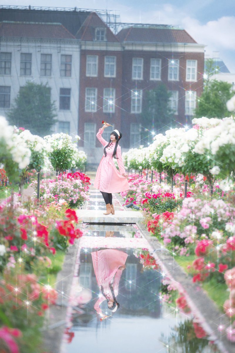 Cosplay
スパイファミリー
ヨルフォージャー🌹
お出かけの服編
📍#ハウステンボス
📸 <a href="/cho_bsk2814/">masaki</a> 

#絵になるハウステンボス #憧れの春旅 #薔薇 #rose #長崎 #ヨルフォージャー 長崎