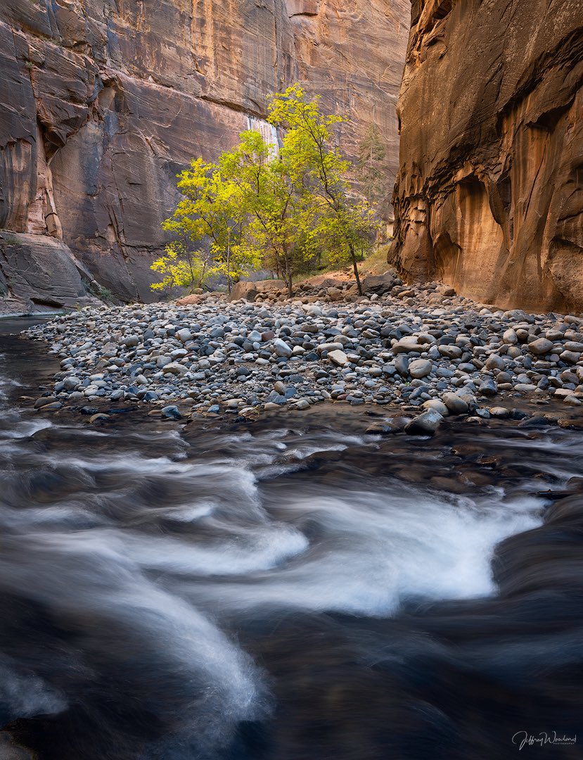 jwoodardphoto's tweet photo. #zion #zionnationalpark #autumn #autumncolors #wander #landscape #thenarrows #fallcolors #leaves #colors #utah #utahlandscape #nationalpark #narrows #landscapephotography #LongExposure #optoutside #utahphotographer #autumnleaves #landscape_lovers #landscape_captures #zionnps https://t.co/9B6QIBLYNU