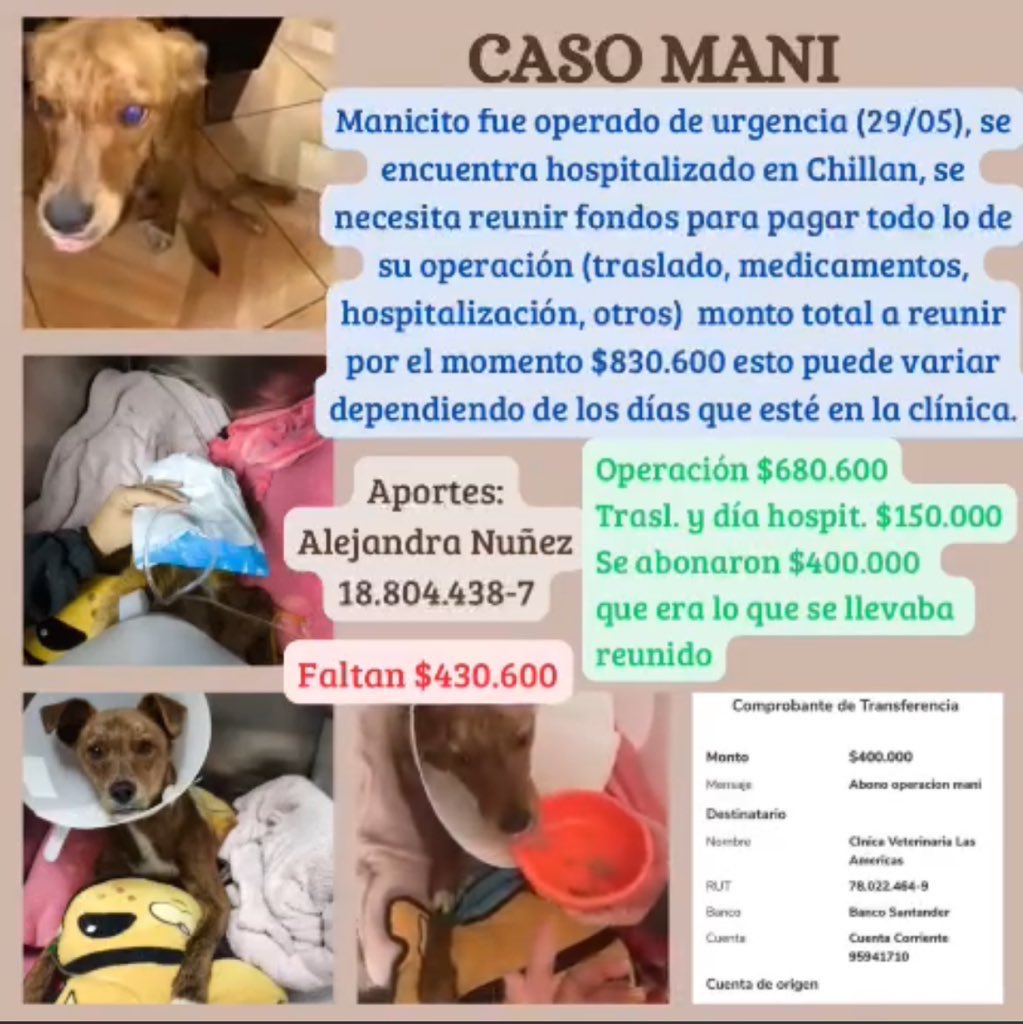 Danii_tco's tweet photo. Difundir por favor

Apoyemos a este amiguito, su hogar temporal de Los Ángeles y sus rescatistas están luchando día a día por cambiar su vida, se encuentra hospitalizado en Chillán. 🇨🇱

https://t.co/KEBEQIVCbo? https://t.co/EW85j3lZIq