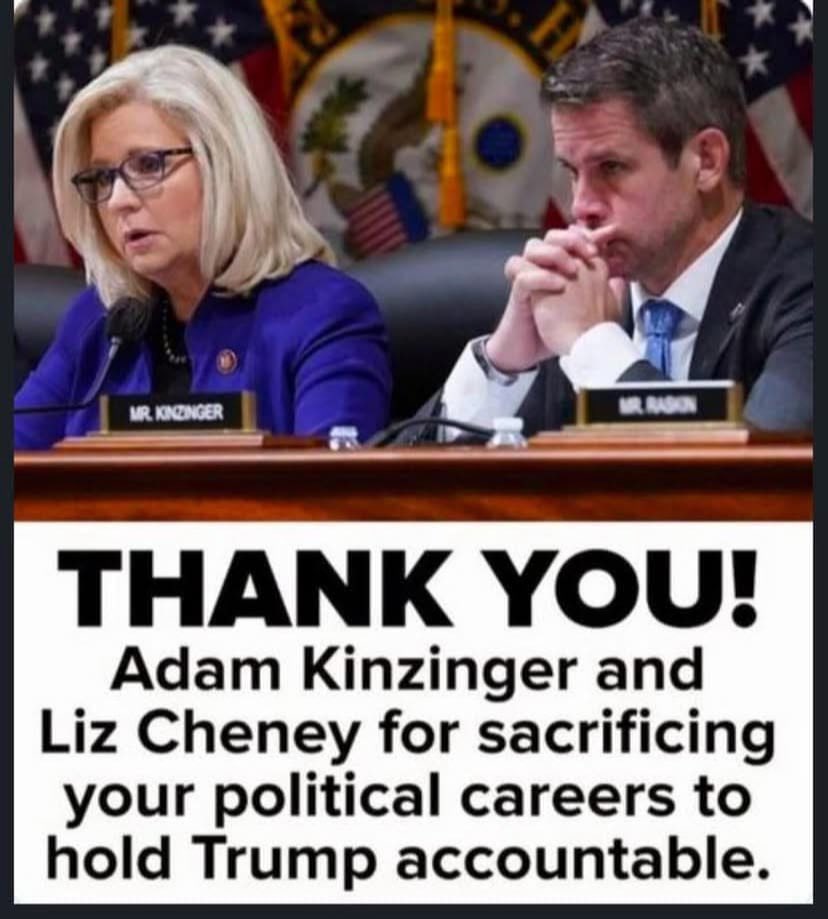 Protect Kamala Harris ✊ (@disavowtrump20) on Twitter photo RETWEET to thank <a href="/Liz_Cheney/">Liz Cheney</a> and <a href="/AdamKinzinger/">Adam Kinzinger (Slava Ukraini) 🇺🇸🇺🇦</a> for putting country over party! RETWEET to thank <a href="/Liz_Cheney/">Liz Cheney</a> and <a href="/AdamKinzinger/">Adam Kinzinger (Slava Ukraini) 🇺🇸🇺🇦</a> for putting country over party!