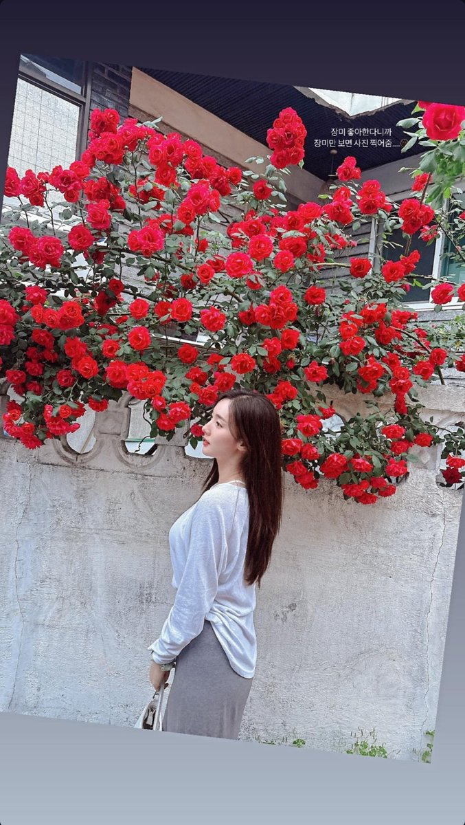 StellarUpdates_'s tweet photo. [250529] Minhee @ juminhee Instagram story update 

❤️🌹

#���텔라 #Stellar #주민희 #JuMinhee #JooMinhee #민희 #Minhee https://t.co/HU5PnfEvWY