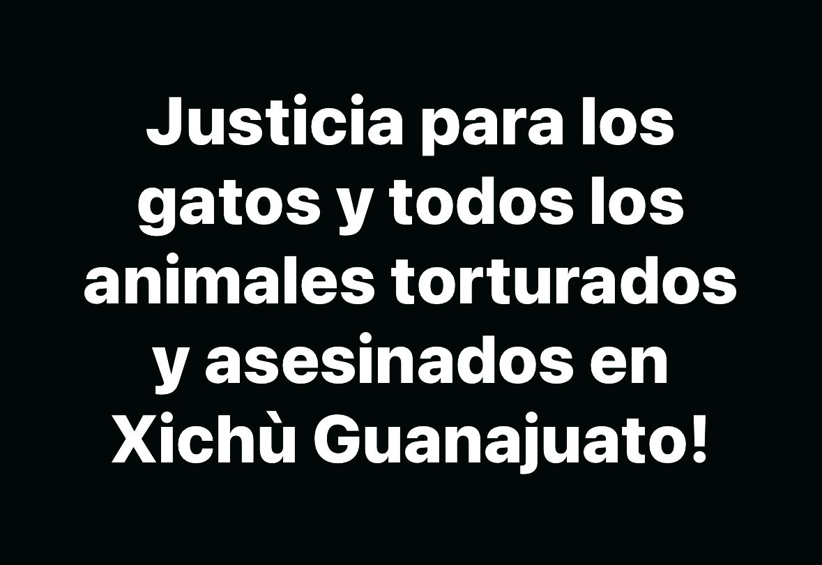 Red Pro Gato Guadalajara (@redprogato) on Twitter photo Que los responsables de la tortura y asesinato de los gatos y otros animales en #Xichú reciban castigo ejemplar y se investigue a las autoridades involucradas que fueron omisas ante los delitos de #CrueladAnimal!
<a href="/LibiaDennise/">Libia Dennise</a> <a href="/FGEGUANAJUATO/">Fiscalía General del Estado de Guanajuato</a> <a href="/guanajuato/">Guanajuato México</a> Que los responsables de la tortura y asesinato de los gatos y otros animales en #Xichú reciban castigo ejemplar y se investigue a las autoridades involucradas que fueron omisas ante los delitos de #CrueladAnimal!
<a href="/LibiaDennise/">Libia Dennise</a> <a href="/FGEGUANAJUATO/">Fiscalía General del Estado de Guanajuato</a> <a href="/guanajuato/">Guanajuato México</a>