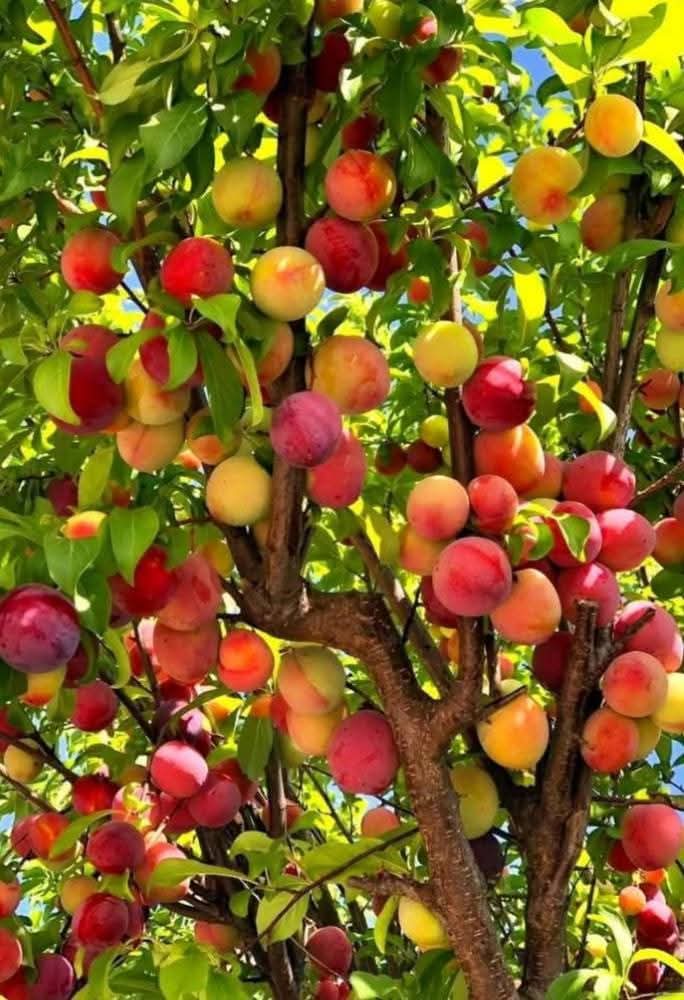 Amazing nature