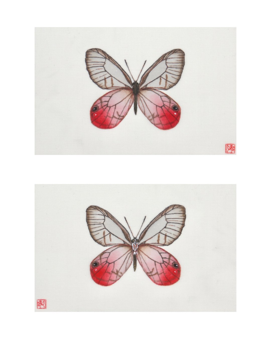 蝶の本　ラオス蝶類図譜 田村澪平 on X: 