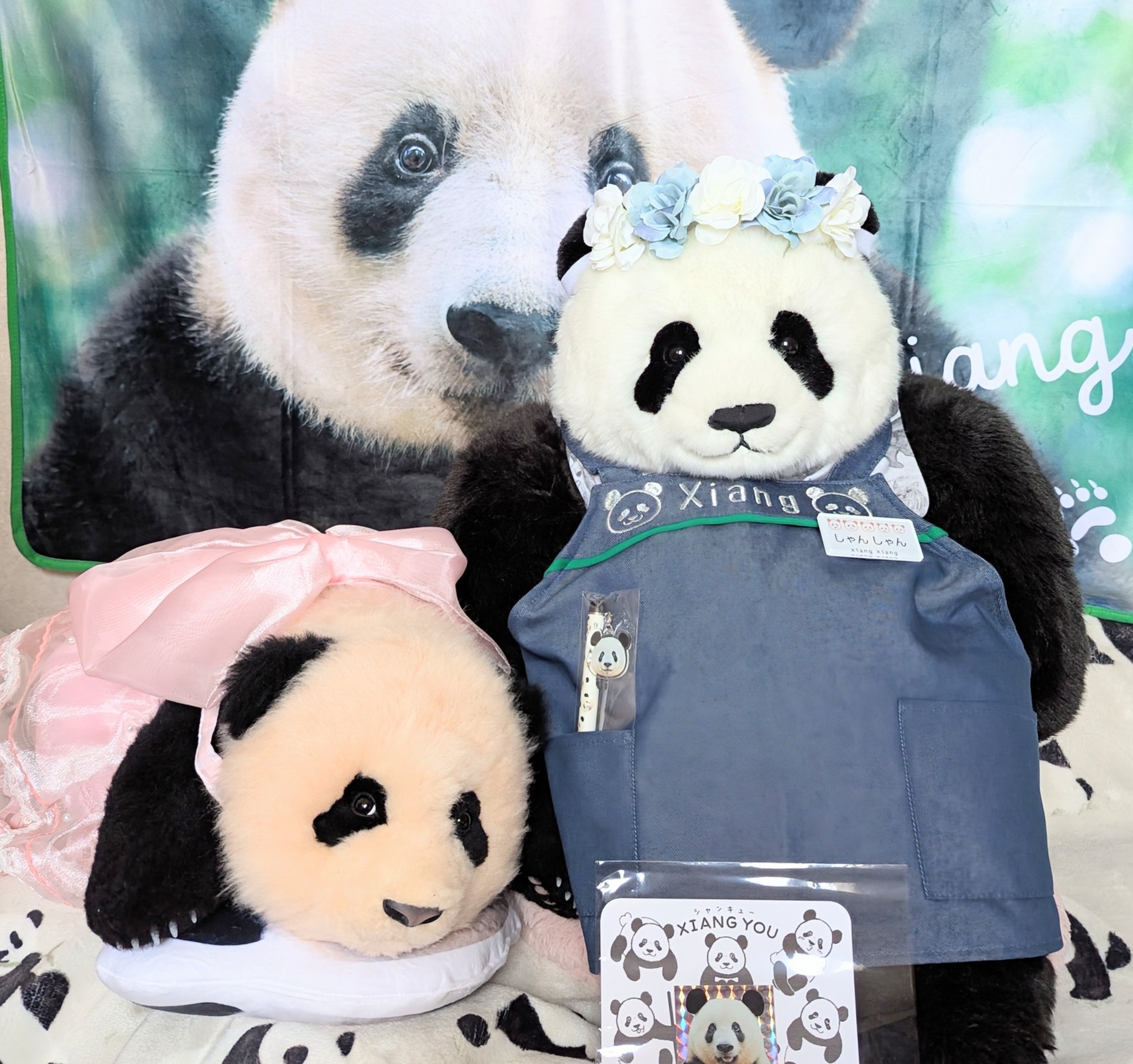 kuma.xiang (@kumaxiang) / X kuma.xiang (@kumaxiang) / X