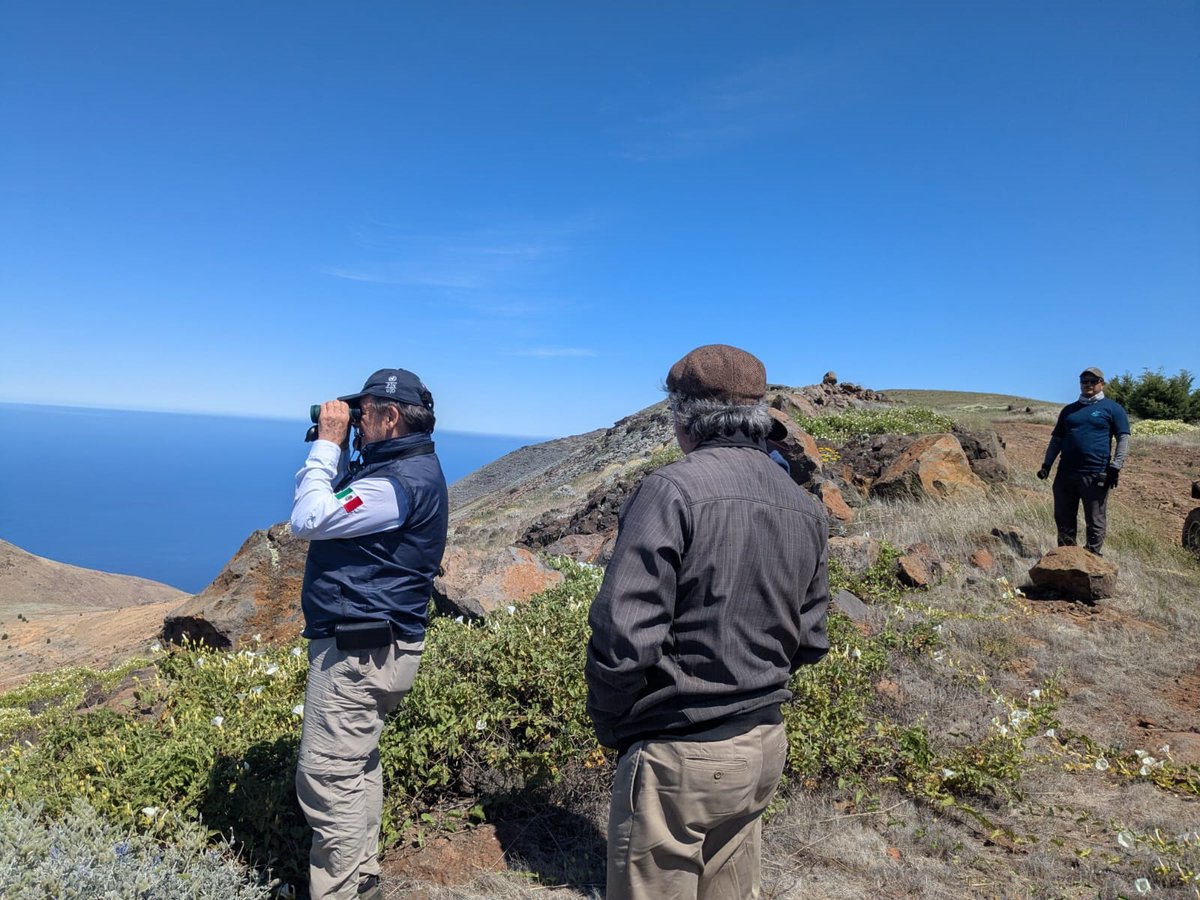 CONANP (@conanp_mx) on Twitter photo Con el fin de constatar los excelentes resultados de restauración ambiental implementados por la #Conanp y <a href="/IslasGECI/">Conservación Islas</a> en la Reserva de la Biosfera #IslaGuadalupe, el titular de la Conanp, <a href="/alvarezicazapc/">Pedro Alvarez Icaza</a>, visitó esta #ÁreaNaturalProtegida. 🌅
➡️ bit.ly/4kkWM7j 🌿🦭🌊🦈 Con el fin de constatar los excelentes resultados de restauración ambiental implementados por la #Conanp y <a href="/IslasGECI/">Conservación Islas</a> en la Reserva de la Biosfera #IslaGuadalupe, el titular de la Conanp, <a href="/alvarezicazapc/">Pedro Alvarez Icaza</a>, visitó esta #ÁreaNaturalProtegida. 🌅
➡️ bit.ly/4kkWM7j 🌿🦭🌊🦈