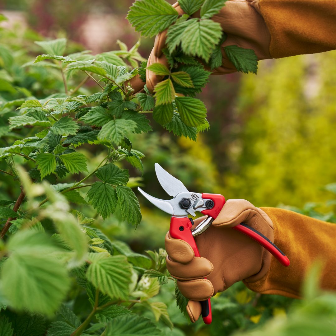 Forget complicated spare parts – the new #FELCO171 features a single, convenient kit for essential wear-and-tear components. Plus, its exclusive new thumb-catch and high-quality hardened carbon steel blade make every cut a dream. Available in M and L hand sizes. #FELCO