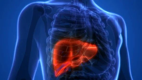 OncoDaily (@oncodaily) on Twitter photo European Liver Patients’ Association: The Role of Research and Innovation in Advancing Liver Cancer Therapies
<a href="/EuropeLiver/">European Liver Patients' Association</a>
oncodaily.com/blog/european-…
#OncoDaily #Oncology #Cancer #Health #Medicine #MedX #MedEd #MedNews #LiverCancer <a href="/CancerWorldmag/">CancerWorld</a> European Liver Patients’ Association: The Role of Research and Innovation in Advancing Liver Cancer Therapies
<a href="/EuropeLiver/">European Liver Patients' Association</a>
oncodaily.com/blog/european-…
#OncoDaily #Oncology #Cancer #Health #Medicine #MedX #MedEd #MedNews #LiverCancer <a href="/CancerWorldmag/">CancerWorld</a>