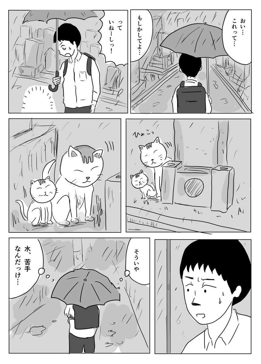 雨宿り 