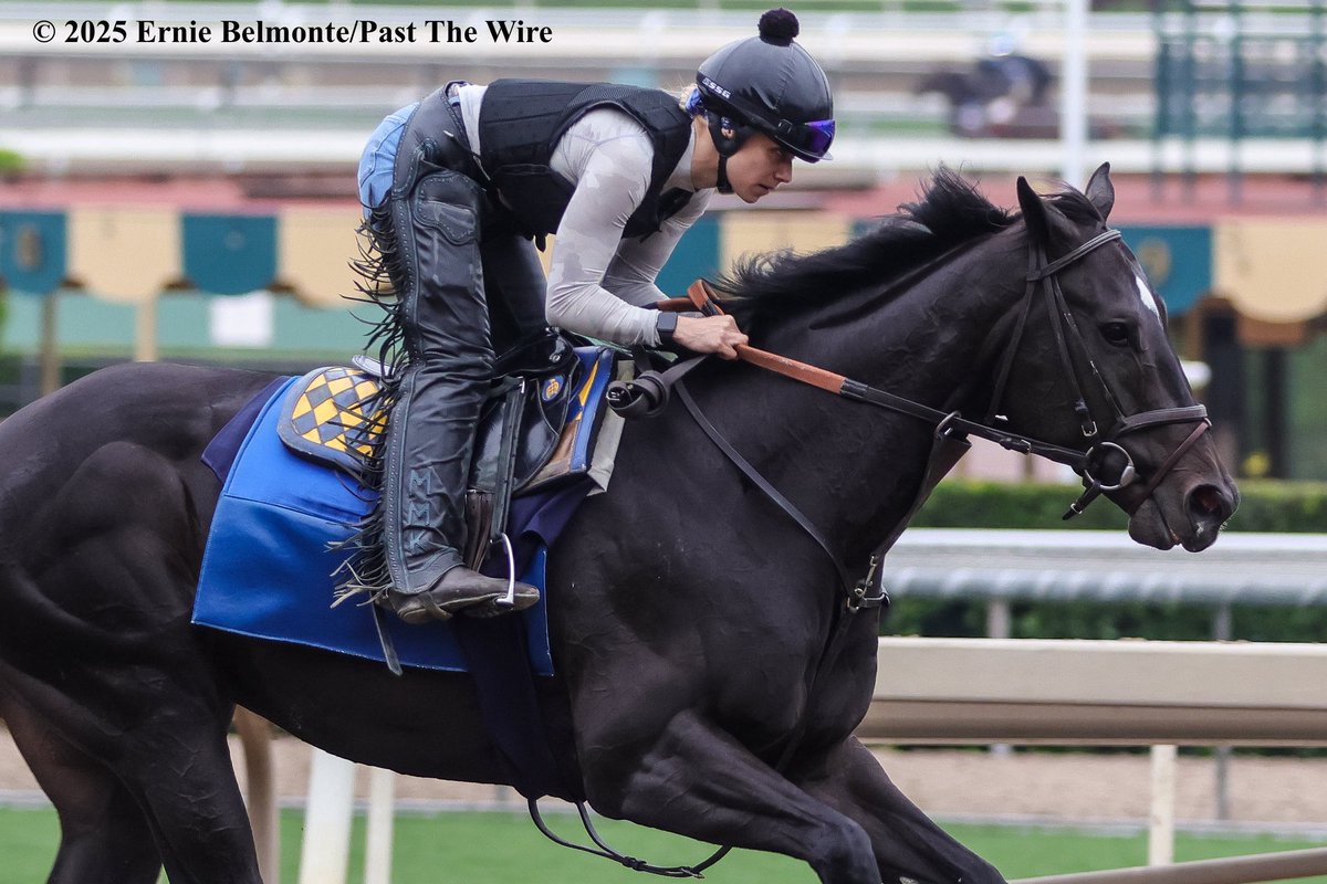 Rodriguez galloping this morning.