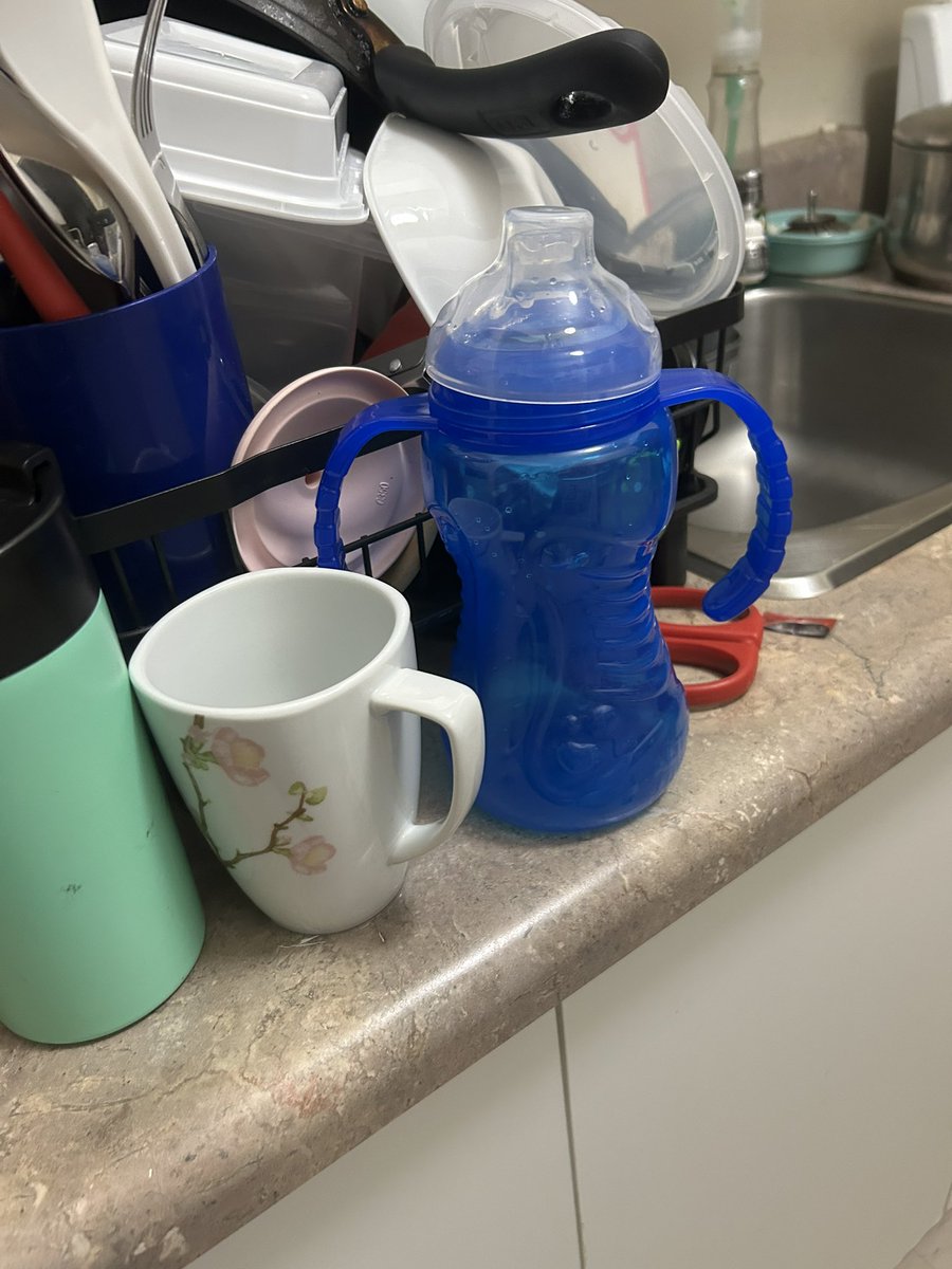 IzzyPup's tweet image. When my mom doesn’t question it- 🤭
Wjust said it made my chocolate milk taste better, cuz I had these glass baby bottle that I bought from a grocery store it had like a yogurt drink in it and I would use it afterwards for chocolate milk, so maybe that’s why she doesn’t ask
