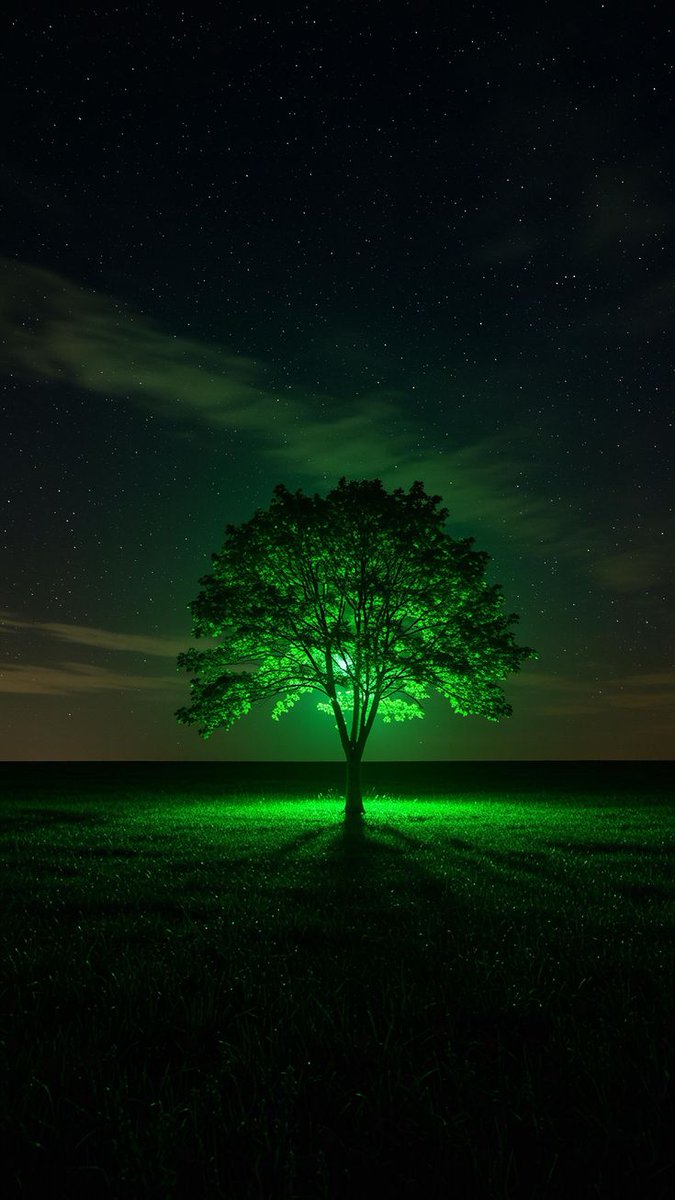 Hay sueños tan bonitos que no se pueden contar, no porque sean prohibidos sino porque son aquellos que anhelamos con el corazón y lo reservamos muy dentro de nosotros...