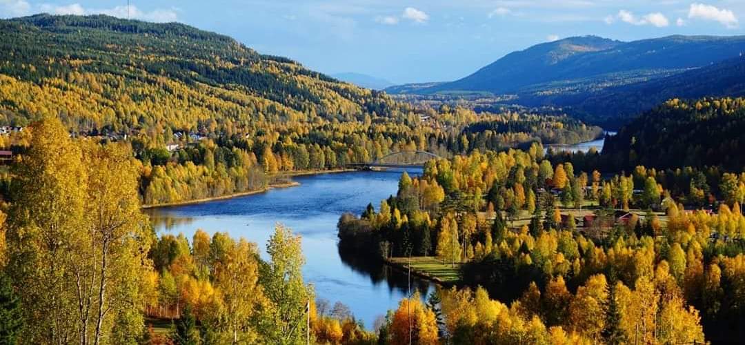 LyftBlicken's tweet photo. @honfrsocmed Det är fint... https://t.co/rlHkCS7vMu