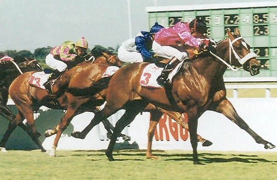 The Captain Is Still Calling The Shots

sportingpost.co.za/the-captain-is…