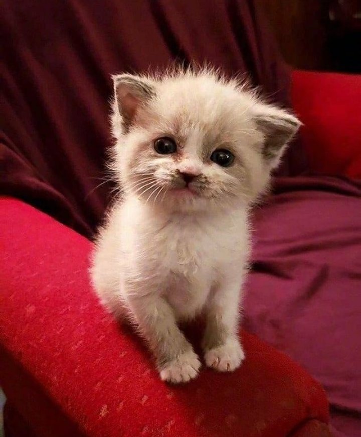 Gravantus (@gravantus) on Twitter photo 