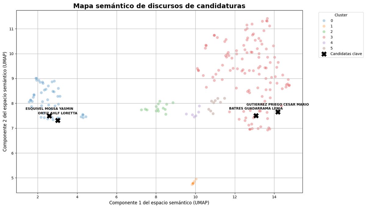Manuel Toral tweet media