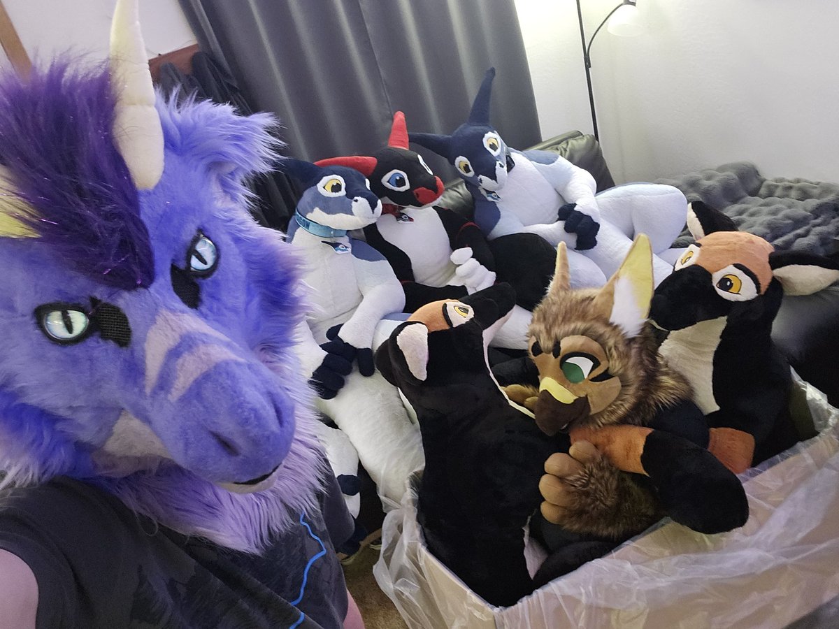 Pesky gryphon problem? No problem! Get yourself a couple of <a href="/PlushLife_eu/">PlushLife</a> Shepherds and you'll have that rascal caught in no time! #FursuitFriday with <a href="/CheskiGryphon/">Cheski Gryphon 🪶 AC</a>