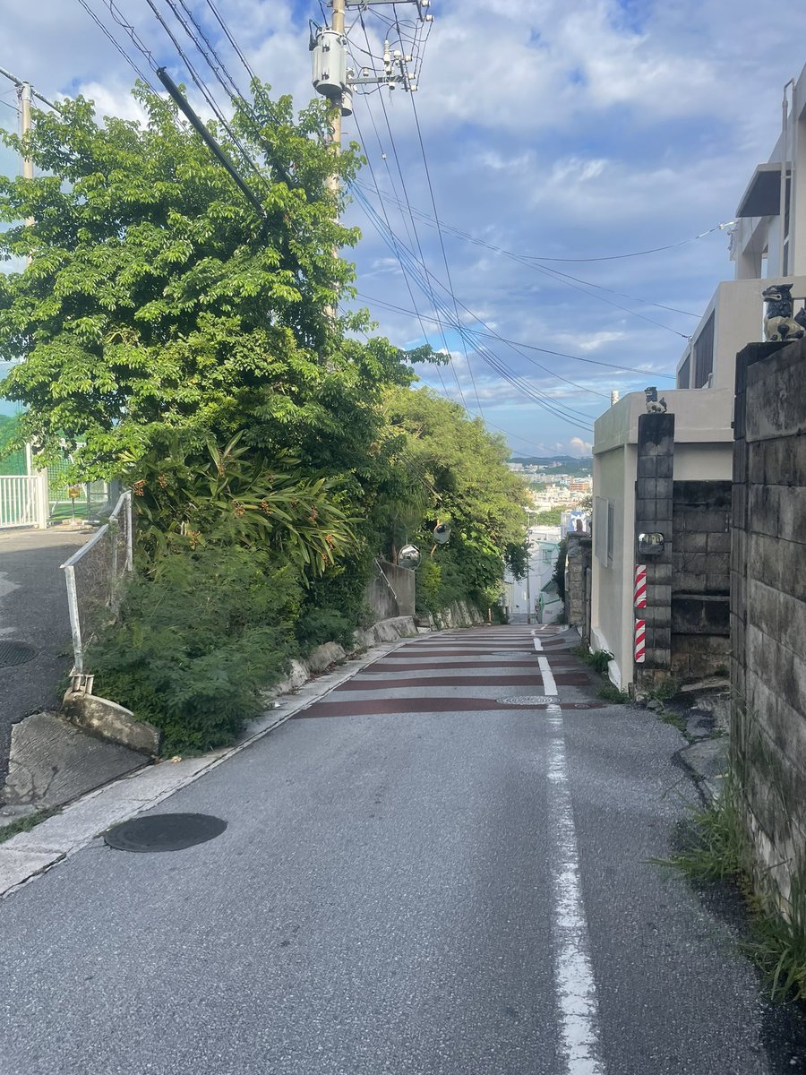 iiroji_bot's tweet image. 