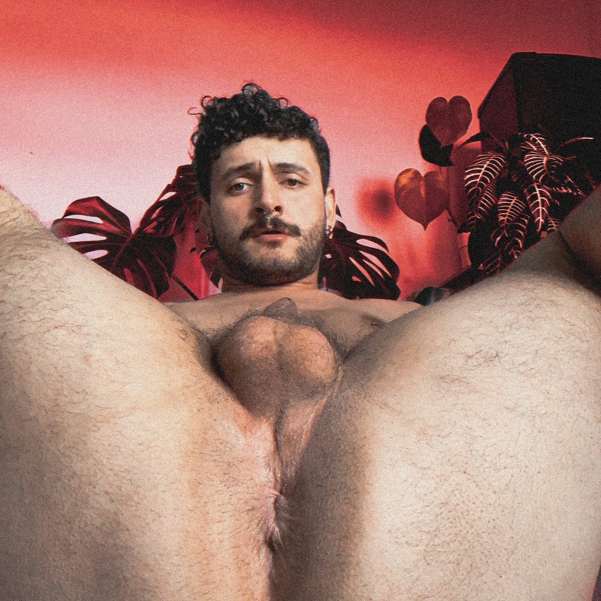 𝑷𝑯𝑶𝑩𝑼𝑺' 𝑷𝑹𝑰𝑵𝑪𝑬 tweet media