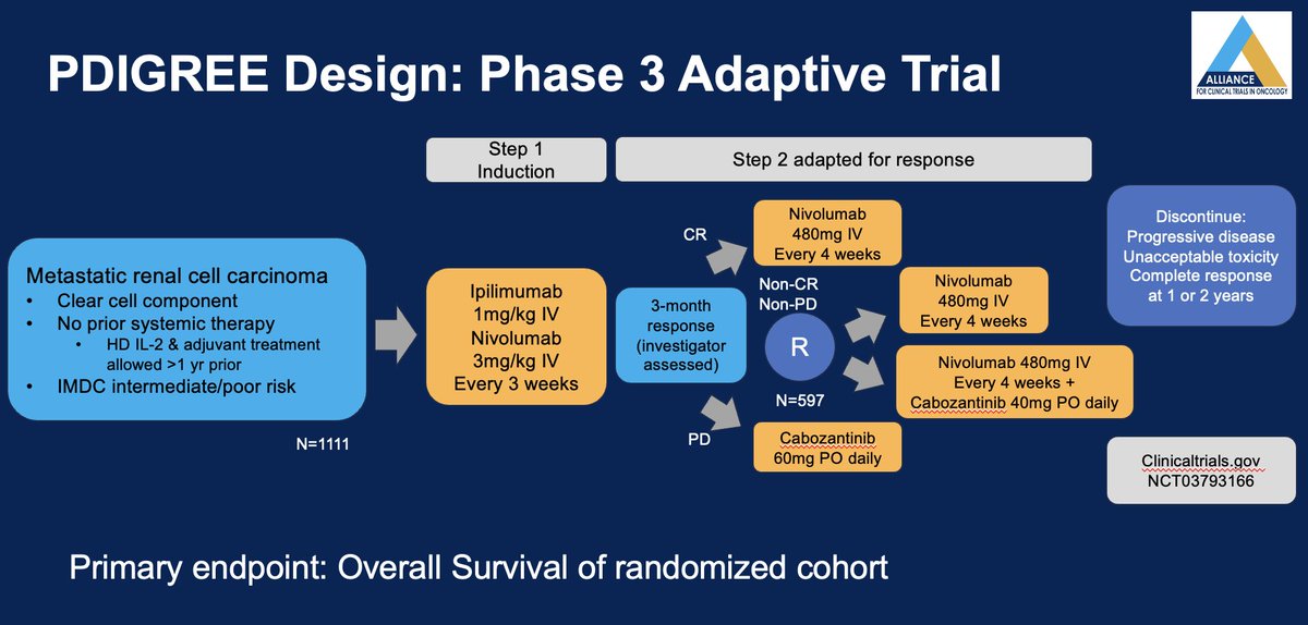 #PDIGREE is an adaptive phase 3 trial of patients w/ IMDC intermed/poor risk metastatic #kidneycancer, treated w/ ipi/nivo (step 1) then adapted to response w/ patients w/ PR/SD randomizing to nivo vs nivo/cabo (step 2), CR receiving nivo, &amp; PD receiving cabo. #ASCO25 <a href="/OncoAlert/">OncoAlert</a>