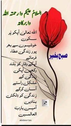 اسلام علیکم صبح بخیر جمعہ مبارک 🌹
