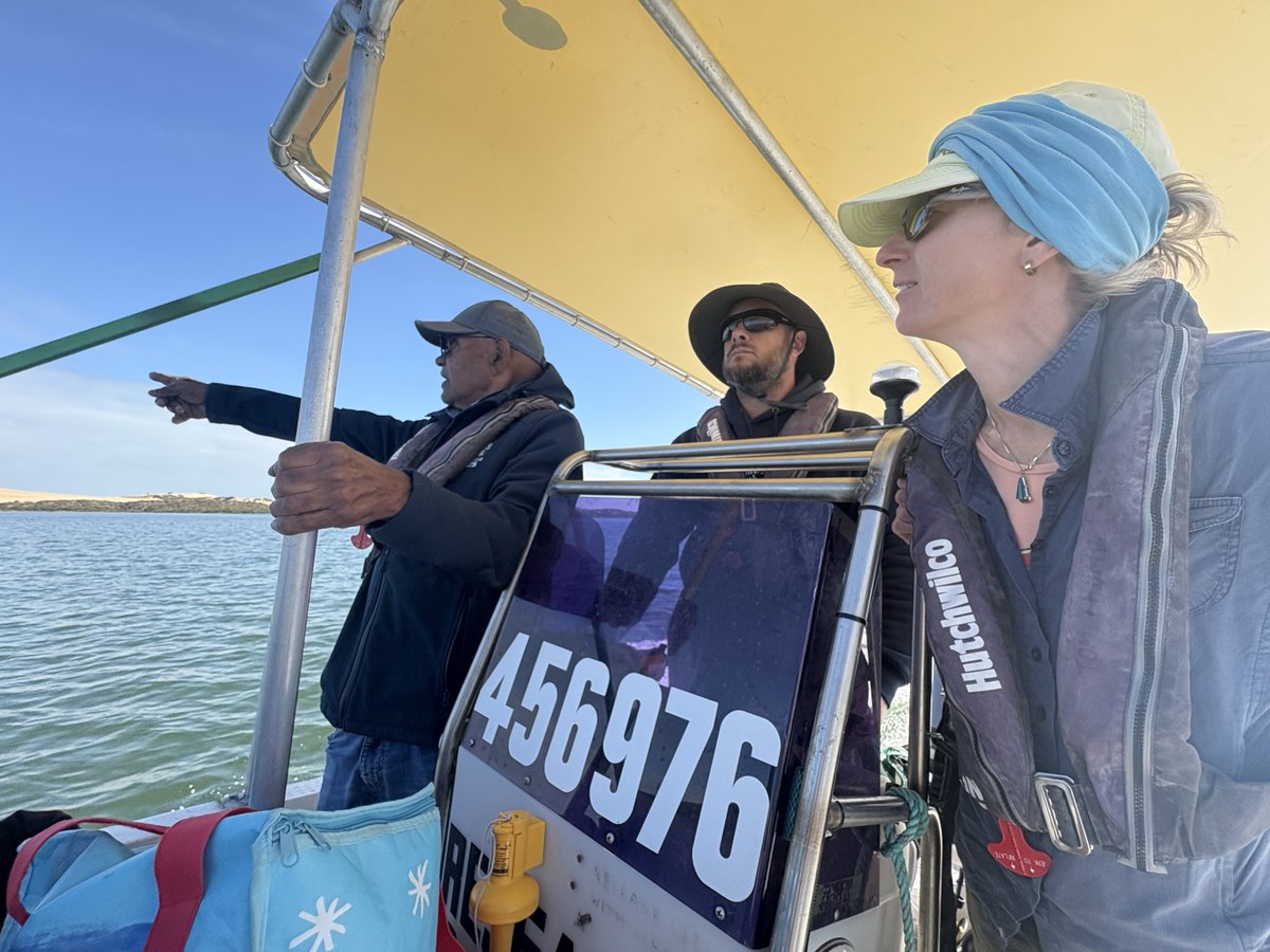 💧 What’s new in the world of the Coorong, Lower Lakes and Murray Mouth Research Centre?
Our latest newsletter is out now, packed with research updates, upcoming events, and community collaborations. Read all about it -mailchi.mp/cllmmresearchc…
#CLLMMRC #CLLMM