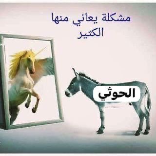 خرط×خرط ياحسين!!!!!!
لانفعتم غزة 
ولا أسلمتم اليمن من الدمار،
من الشجاعة أن تعرف قدر نفسك
وحجم قدراتك في مواجهة خصمك.
لقد أهنتم اليمن وأهلها وعرّضتم المصالح الحيوية للبلاد للدمار 
في محاولة بائسة لتقمص دور أكبر من حجمكم فكانت النتيجة هزيمة أمام الصها ينة 
واستسلام مُهين ومُذل
