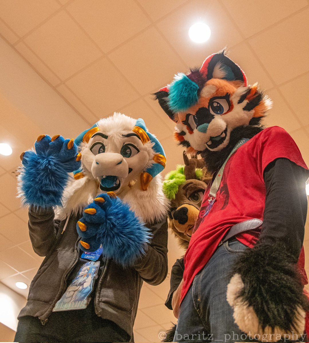 MaeBea (@maebeamainecoon) on Twitter photo How does it feel to be so small you have to look up to Big Cat MaeBea? ๐ผ
I bet you love it ๐
#FursuitFriday
๐ธ: <a href="/Baritz3/">Baritz๐</a>
๐ฒ: @/IcdDrgn (TG)
๐ฆ: <a href="/TheDeerSeishin/">The_Deer_Seishin ๐NFC๐ธ๐ช</a> How does it feel to be so small you have to look up to Big Cat MaeBea? ๐ผ
I bet you love it ๐
#FursuitFriday
๐ธ: <a href="/Baritz3/">Baritz๐</a>
๐ฒ: @/IcdDrgn (TG)
๐ฆ: <a href="/TheDeerSeishin/">The_Deer_Seishin ๐NFC๐ธ๐ช</a>