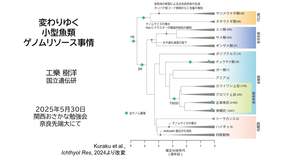 sighex's tweet image. きょうは奈良先端大 @NAIST_MAIN にて
使える情報をどれだけ持って帰っていただけるか

#関西おさかな勉強会 @nbrpmedakaomix