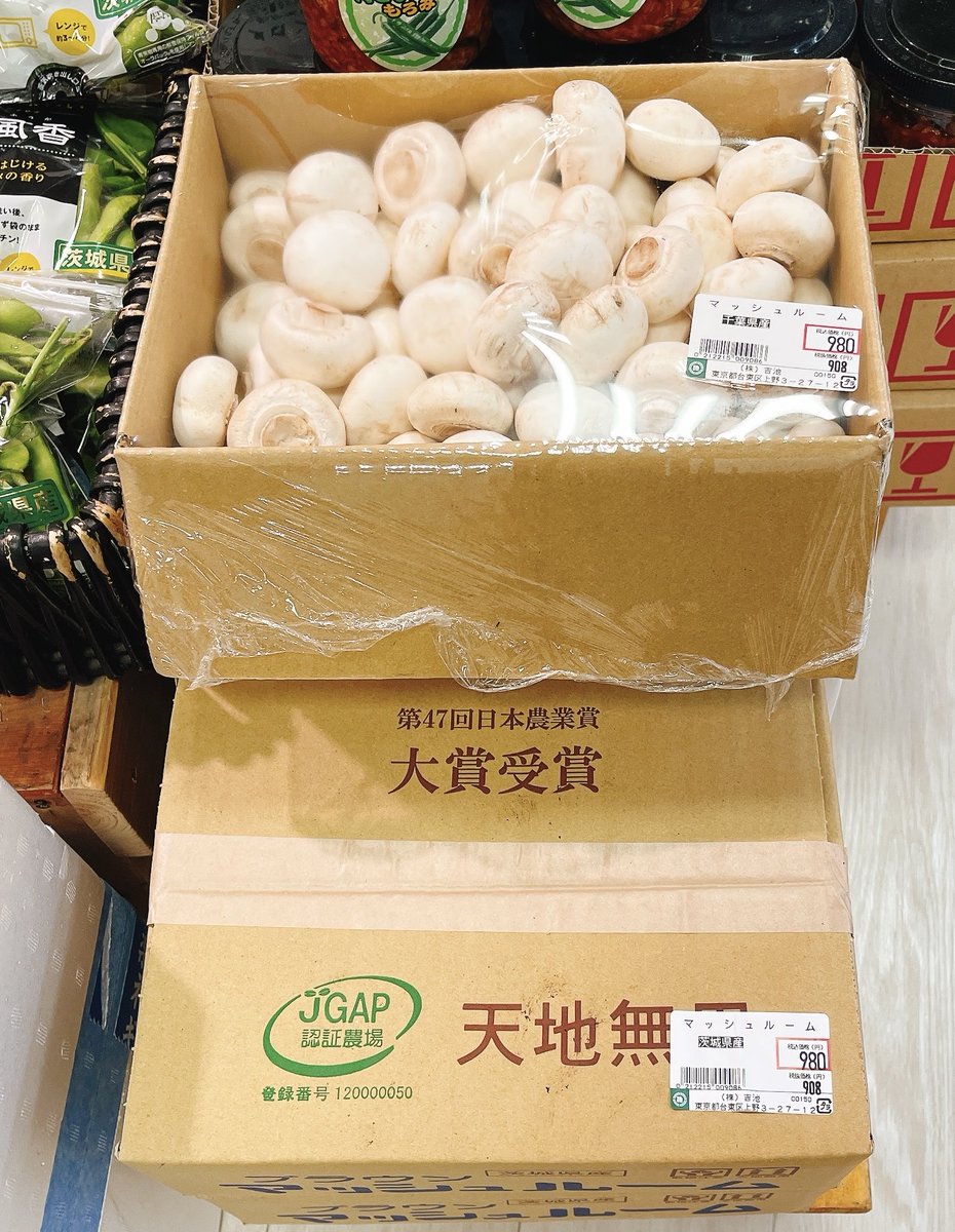 まっしゅるーむ thumbnail__00183.1755548896.