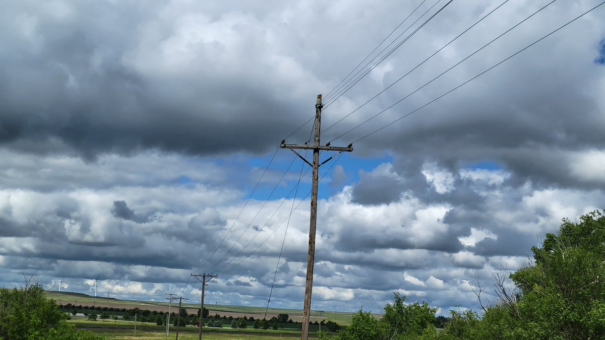 Land of Oz can't shake its clouds