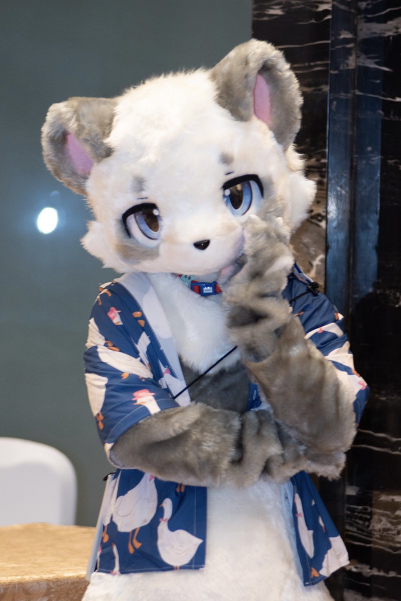 在想什么心事呢
#fursuit #FursuitFriday #furry #兽装 #fluffyfriend
